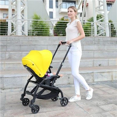עגלה לבחירת עיר